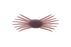 Jackall Drift Crab Mini- Benkeigani