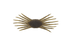 Jackall Drift Crab Mini- Green Pumpkin Pepper
