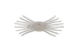 Jackall Drift Crab Mini- Sight Pearl White