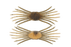 Jackall Drift Crab Mini- Spawn Gill