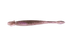 Jackall I Shad Clio- Clear Wakasagi