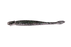 Jackall I Shad Clio- SK Dark Thunder