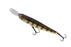 Jackall Riser Bait- Bluegill
