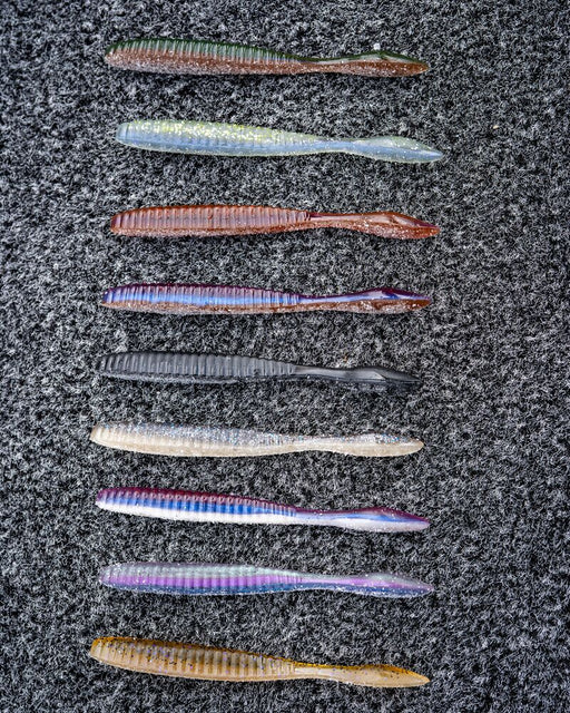 Lab_Series_Flat_Worm