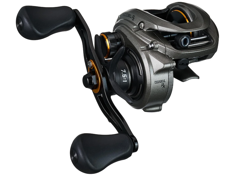 Lews Accel RX Casting Reel