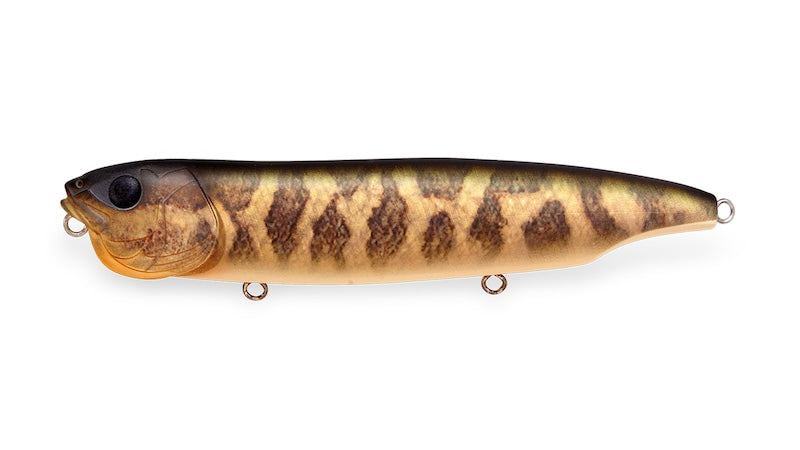 Megabass DOGMAX- Baby Raigyo