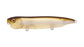 Megabass DOGMAX- Mat Shad
