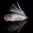 Frozen Shad Megabass Respect Color 85- POPMAX