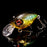 Gin Tonic Tiger Megabass Respect Color 90- SR-X Griffon