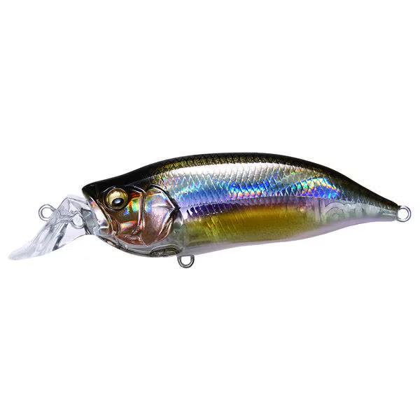 Megabass IxI Shad Crankbaits- Kasumi Ito Type R