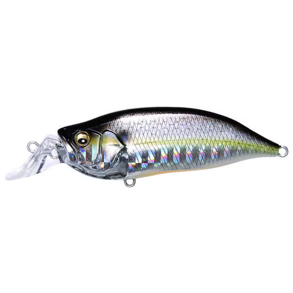 Megabass IxI Shad Crankbaits- Sexy Oyabu Shad Type R