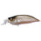 Megabass IxI Shad Crankbaits- Imae Classic Type R