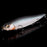 Mat Blue Shiner Megabass Respect Color 93- Megadog-X