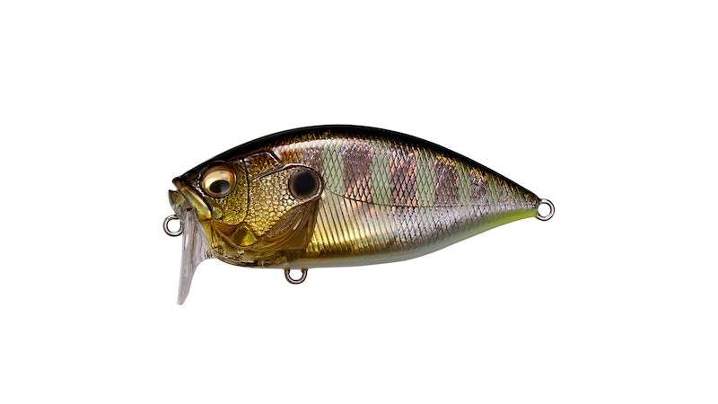 Megabass O.R.C Crankbait- GG Gill