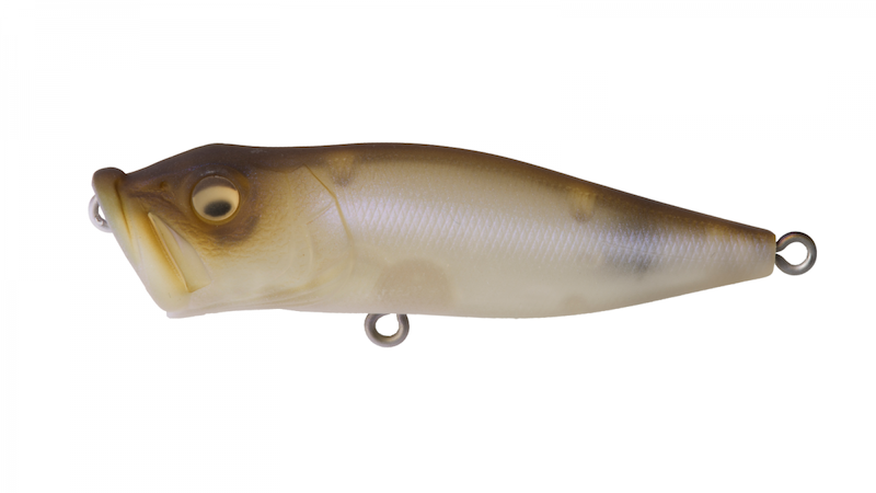 Ensemble De Couleurs Originales Megabass Pop X Tackle Island Ensemble De Couleurs Originales Megabass Pop X Tackle Island