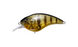 Megabass SonicSide Crankbait- GP Pro Perch