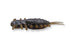 Megabass Yagot- Green Pumpkin Blue