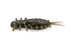 Megabass Yagot- Numa Ebi