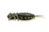 Megabass Yagot- Watermelon Pepper