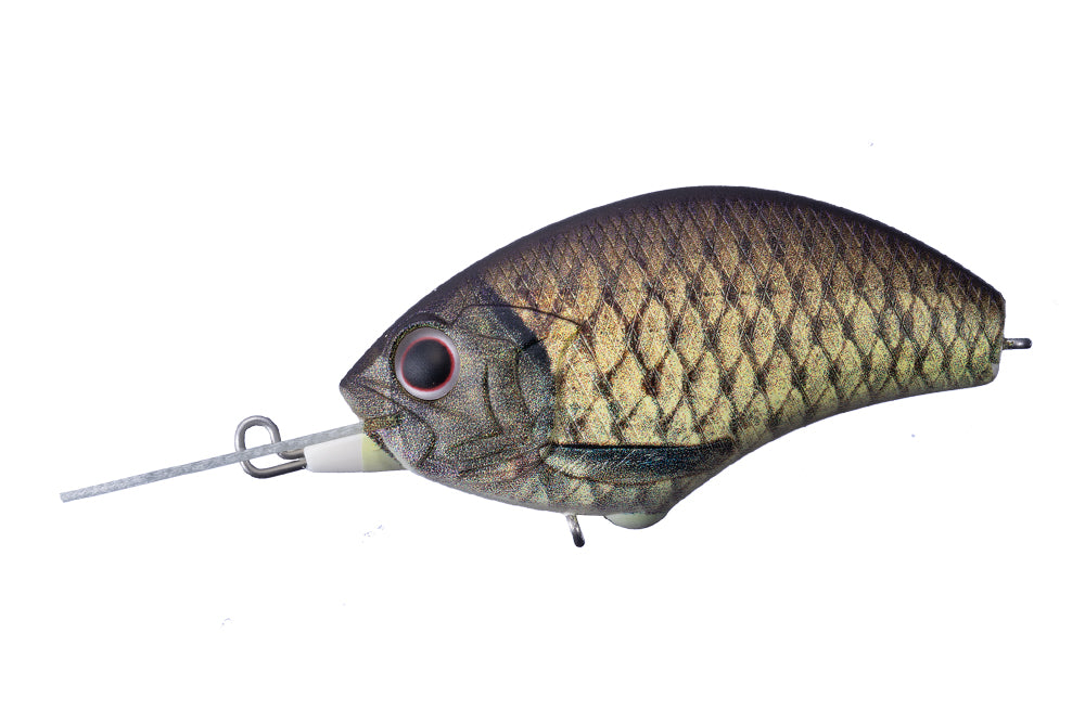 OSP Blitz MR Crankbait- Matte Real Crucian Carp