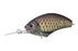 OSP Blitz MR Crankbait- Matte Real Crucian Carp
