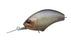 OSP Blitz MR Crankbait- Tasty Shad