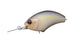 OSP Blitz MR Crankbait- Tasty Shad Version Bone