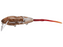 PB Rat 2pc Mini Rat Wakebait- Brown White