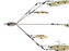 Picasso School-E-Rig Bait Ball- Junior Gold Shad With Eye