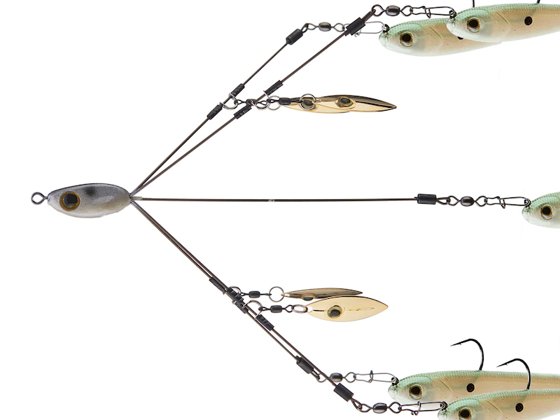 Picasso School-E-Rig Bait Ball- Junior Gold Shad With Eye