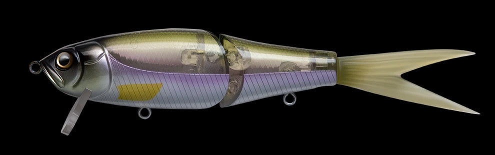 DRT x Fish Arrow Riser Jack Jr- Biwasagi