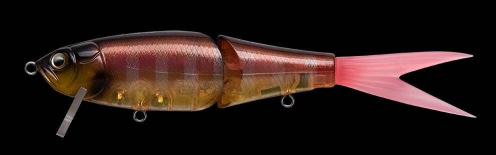 DRT x Fish Arrow Riser Jack Jr- SP 70th Gill