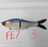 Fish Everything FE Glide Bait