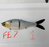 Fish Everything FE Glide Bait