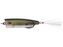 Snag Proof Zoo Pop- Tennessee Shad