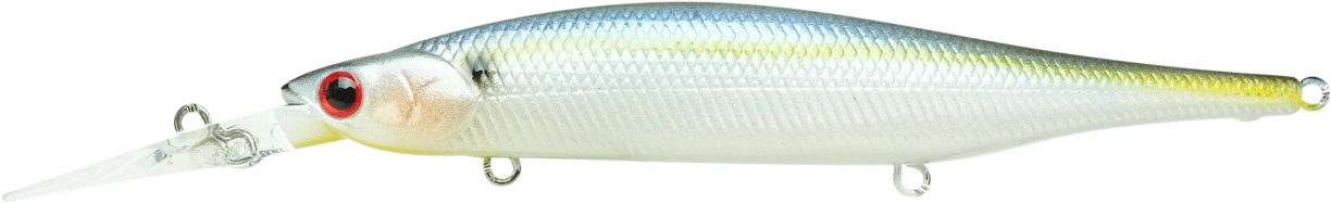 StayseePearlThreadfin