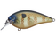 Strike King KVD 1.5 Hard Knock- Bluegill