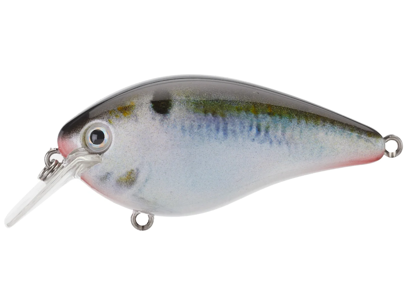 Strike King KVD 1.5 Hard Knock- Natural Shad