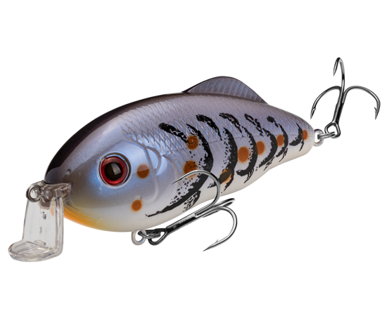 Strike King Hybrid Hunter Shallow Jr. Crankbait- Blue Craw
