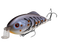 Strike King Hybrid Hunter Shallow Jr. Crankbait- Blue Craw