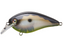 Strike King KVD Elite Squarebill Crankbait- Mirage Gizzard Shad