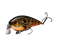 Strike King KVD Shallow Crankbait- Natural Bream