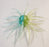 TMF FullCast Urchin- Sexy Shad