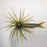 TMF Jerkin Urchin