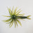 TMF Jerkin Urchin- WatermelonRedGoldFlake