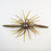 TMF Wacky Urchin- Green Pumpkin Magic