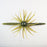 TMF Wacky Urchin- Watermelon Red Gold Flake