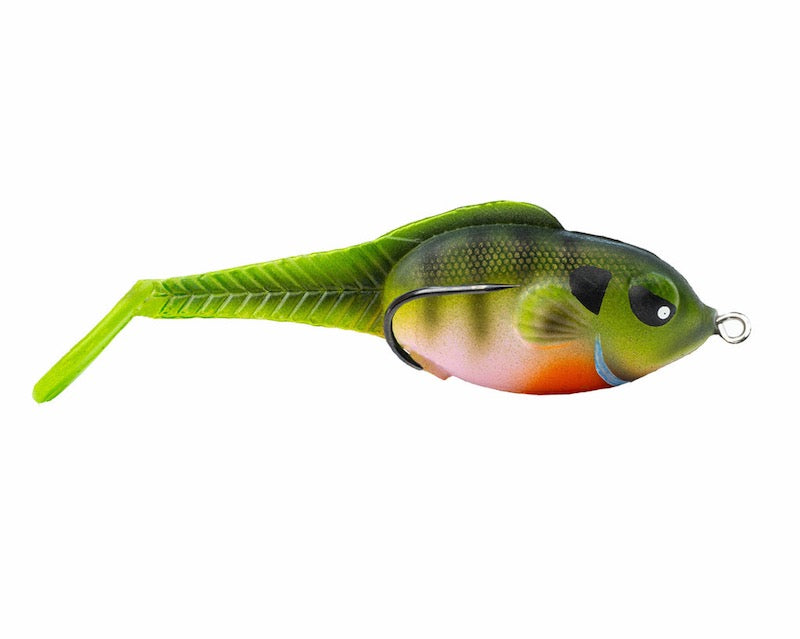 ZooWakeDarkGill