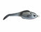 Zoo_Wake_Gizzard_Shad