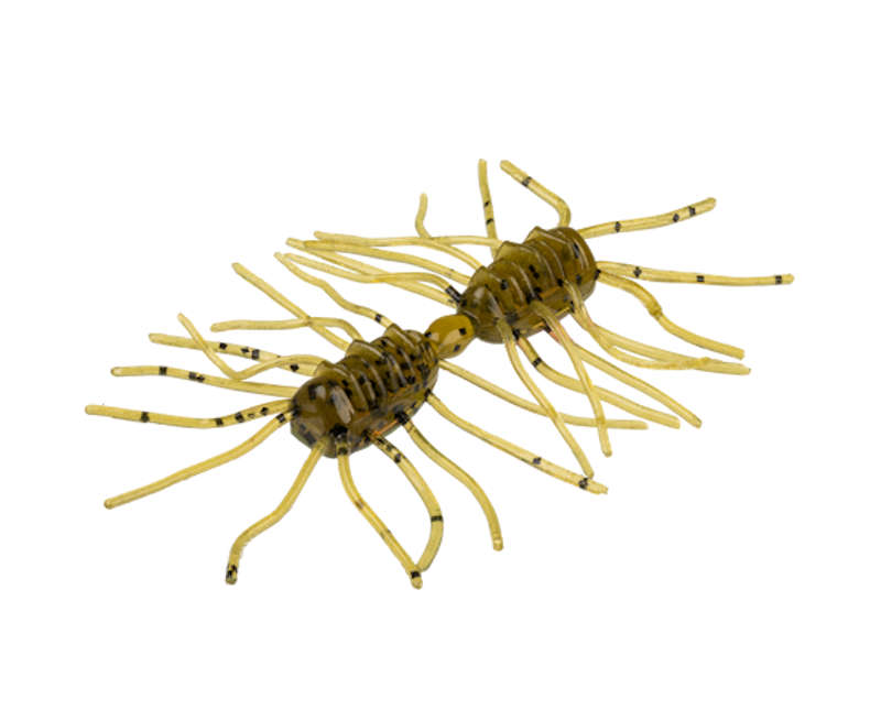 Strike King Sexy Bug